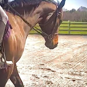 Meet your Posher, Tina